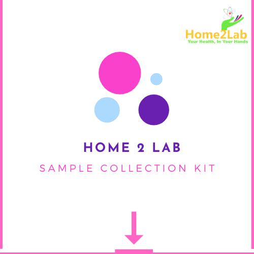 H. pylori IgG Antibodies Blood Test